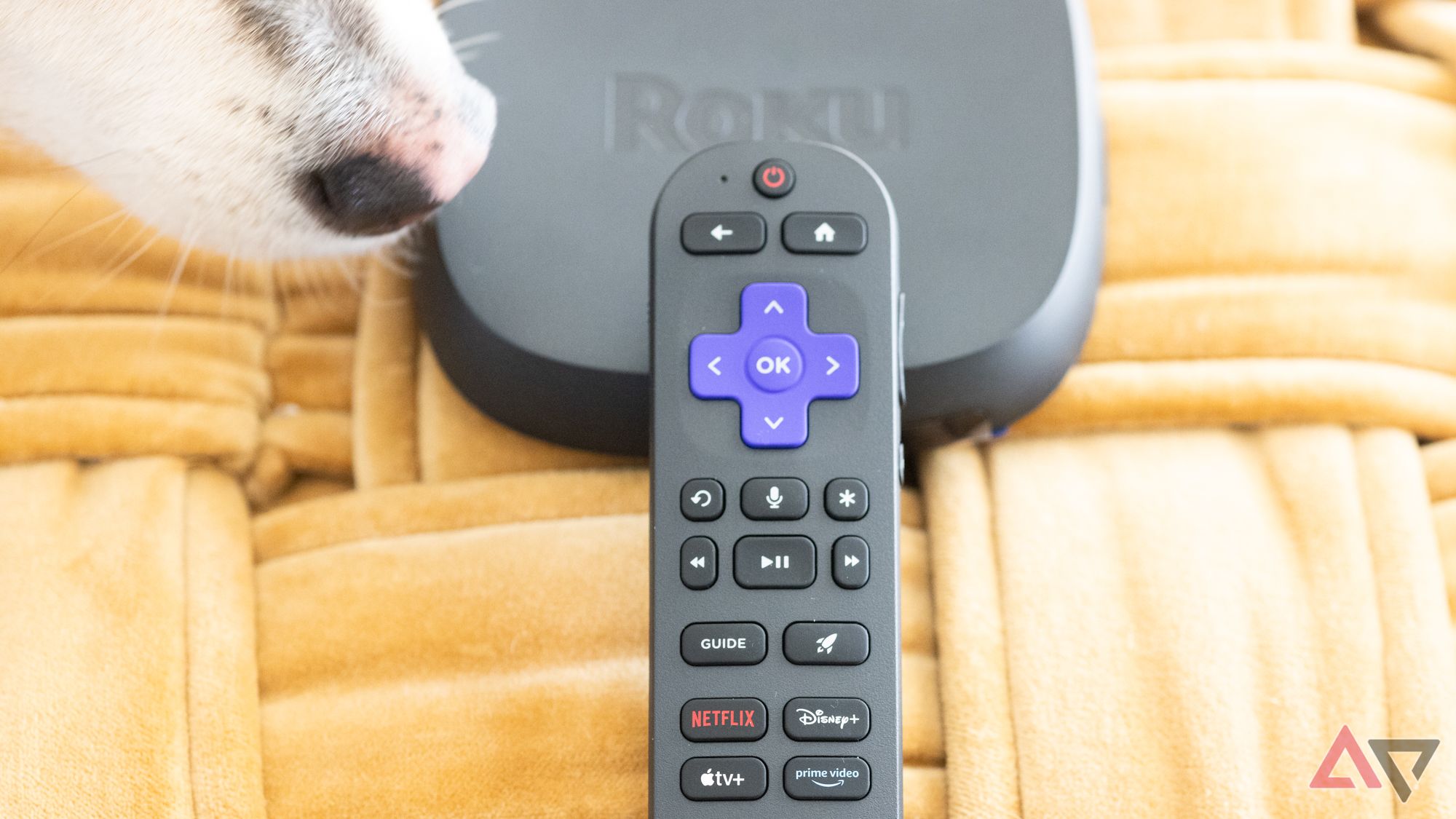 A dog snout sniffing the Roku Ultra's Voice Remote Pro