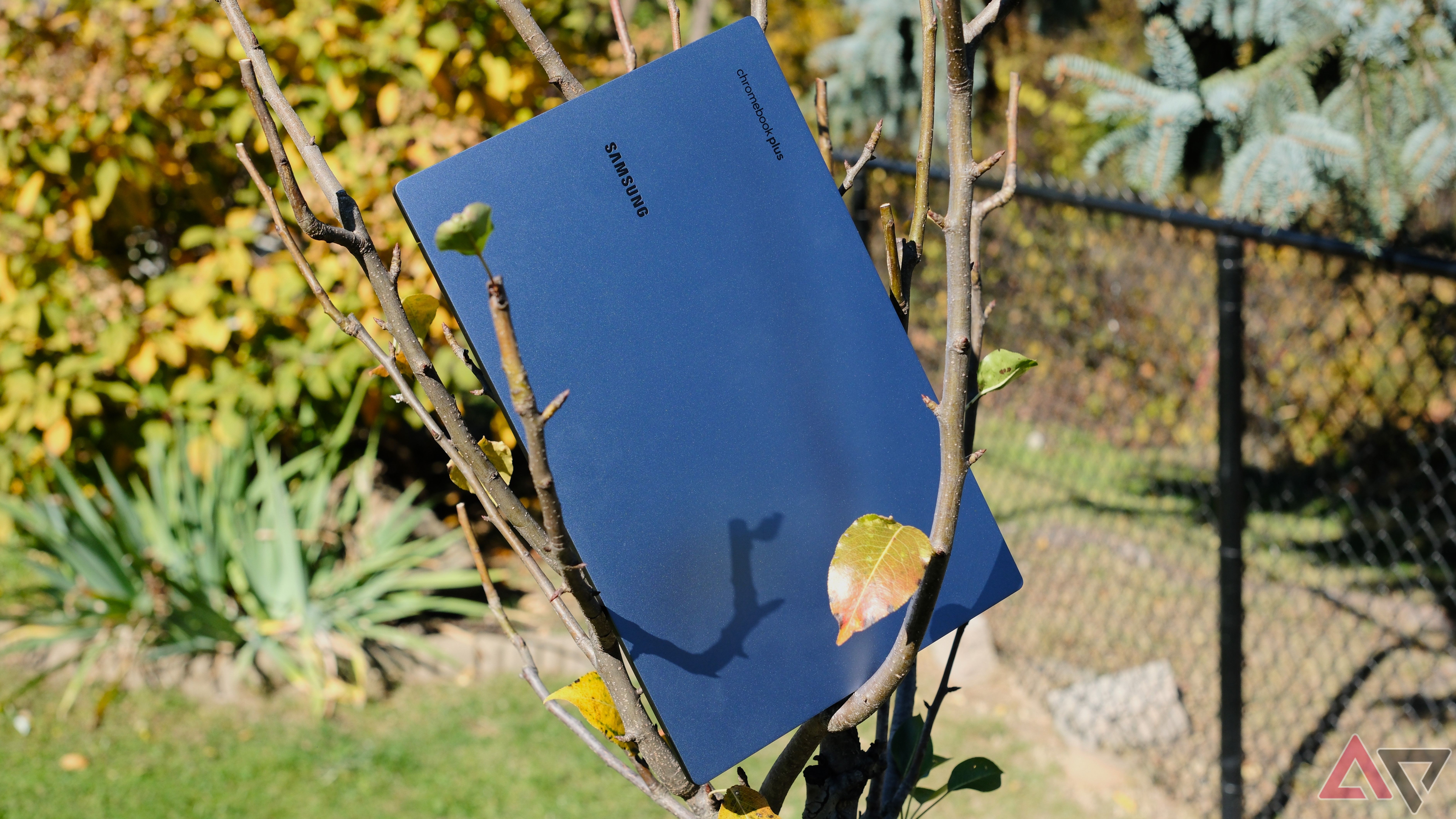 Samsung Chromebook Plus in a tree, yep, a tree