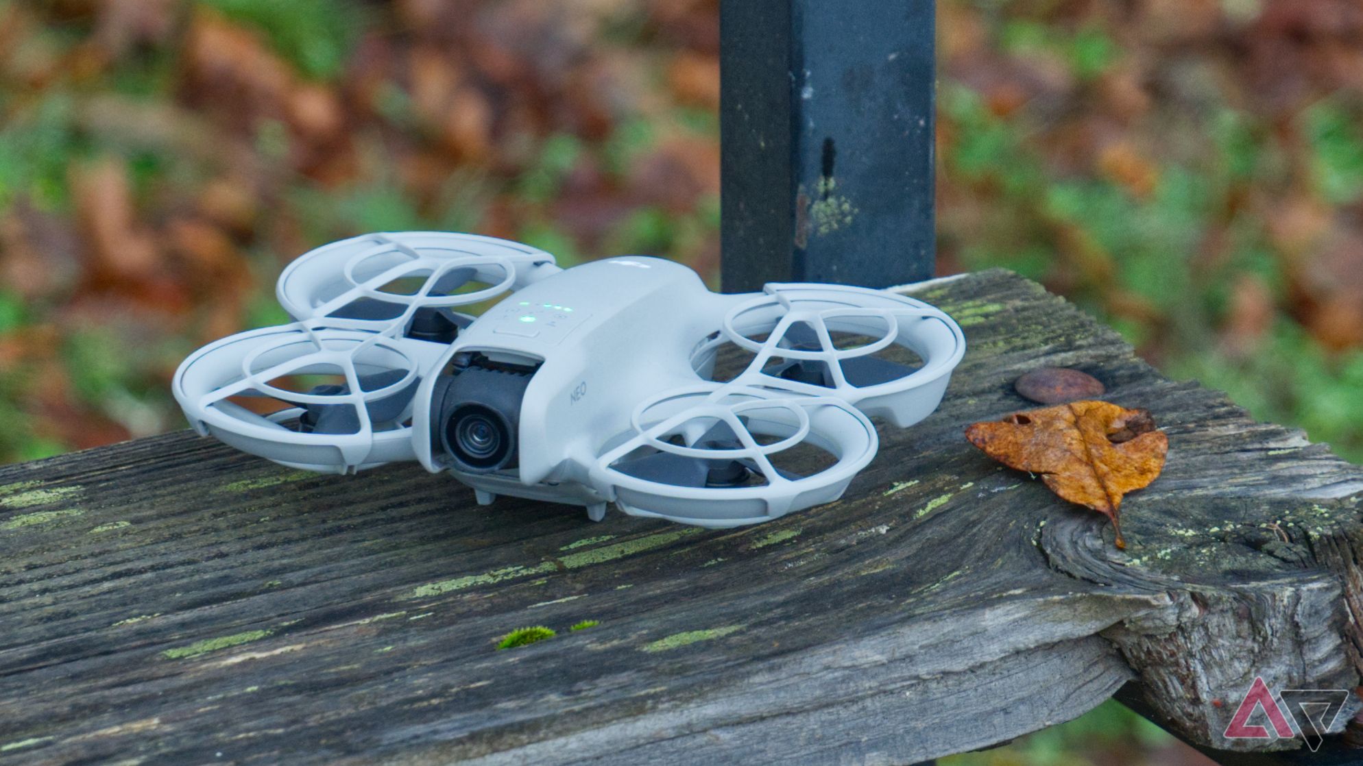 DJI Neo on a wooden bench next to a leaf