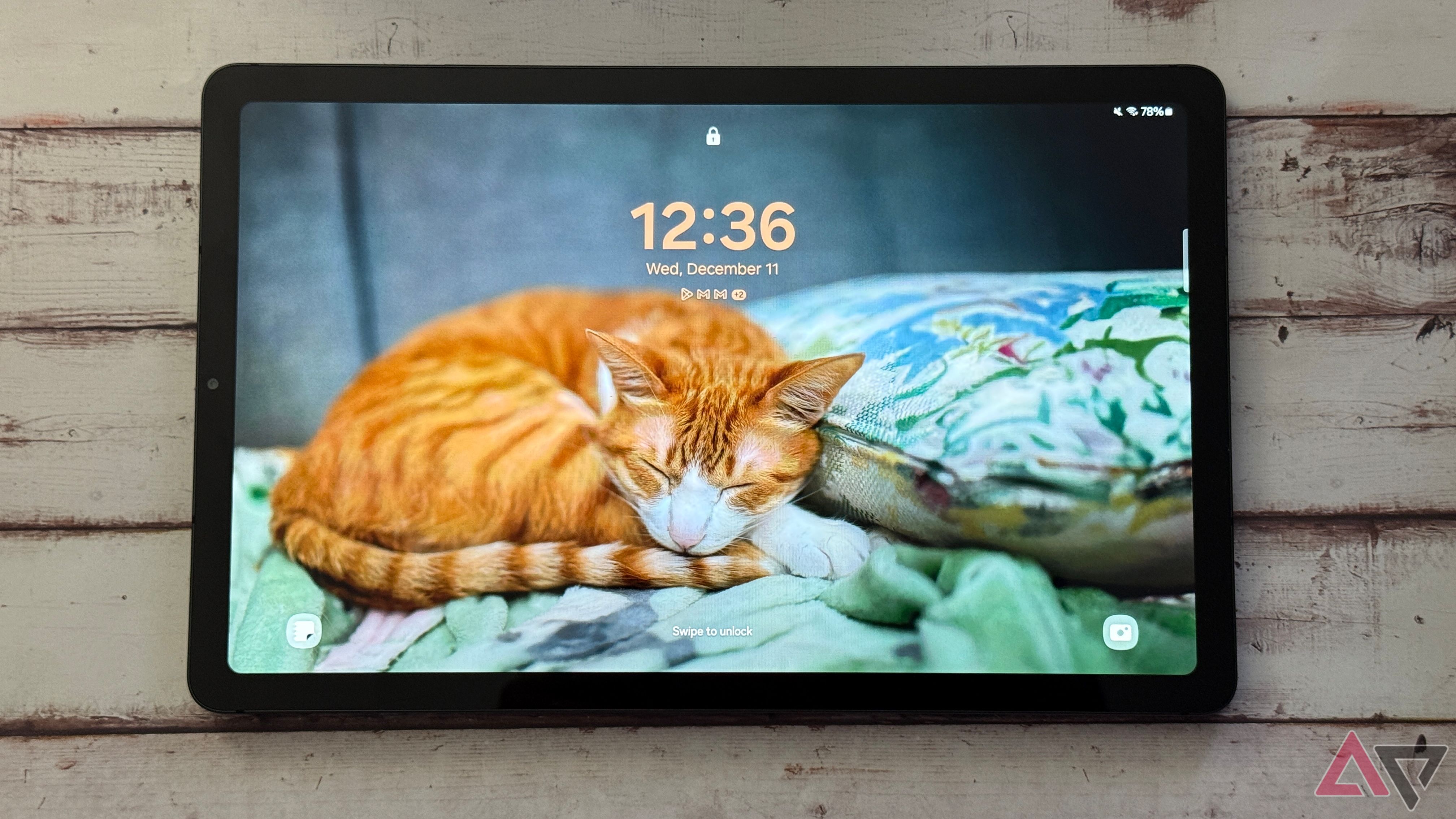 Cat screen saver on the Galaxy Tab S6 Lite