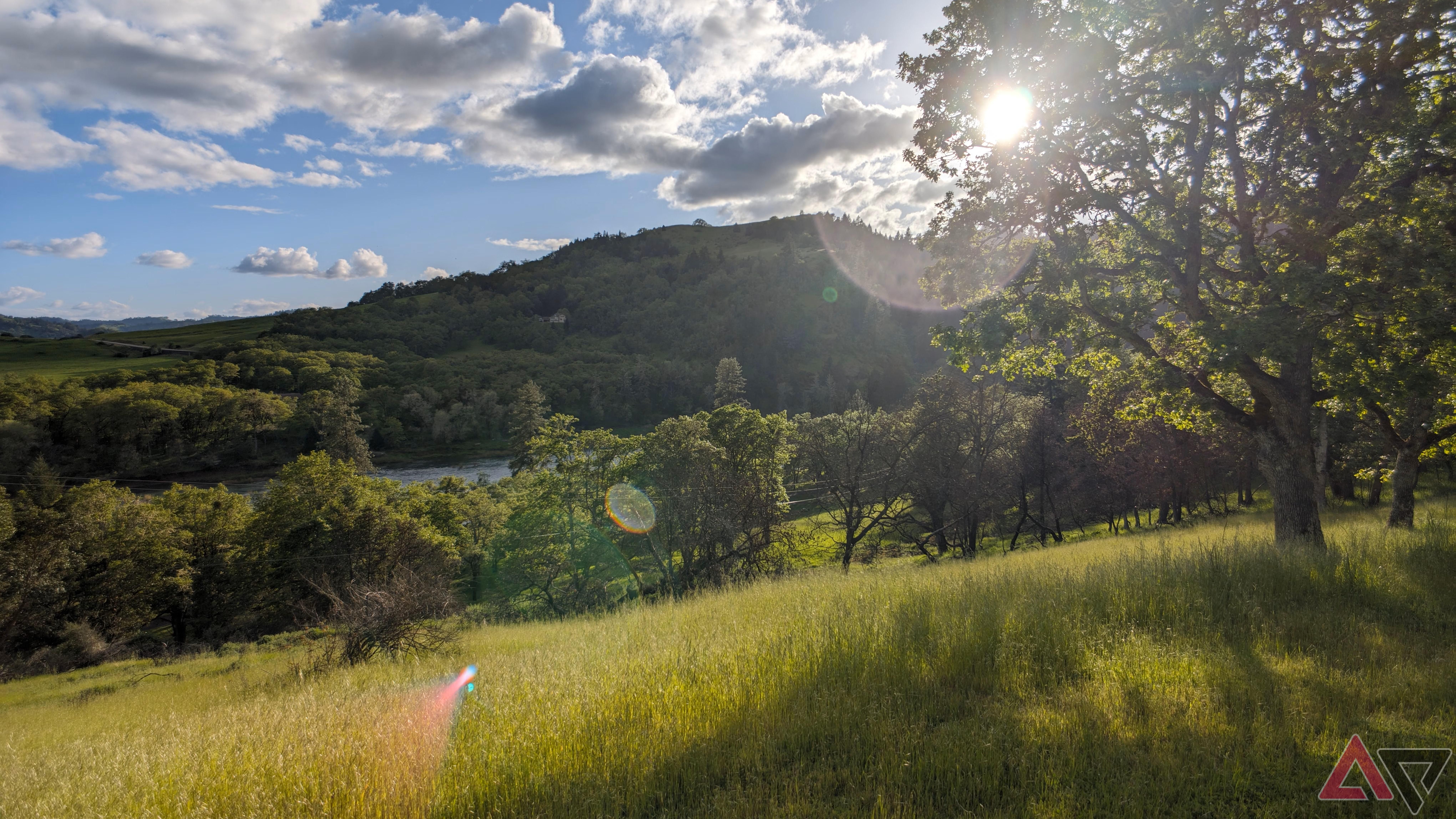 View of a forested valley with sun poking through a tree and causing interesting lens flares