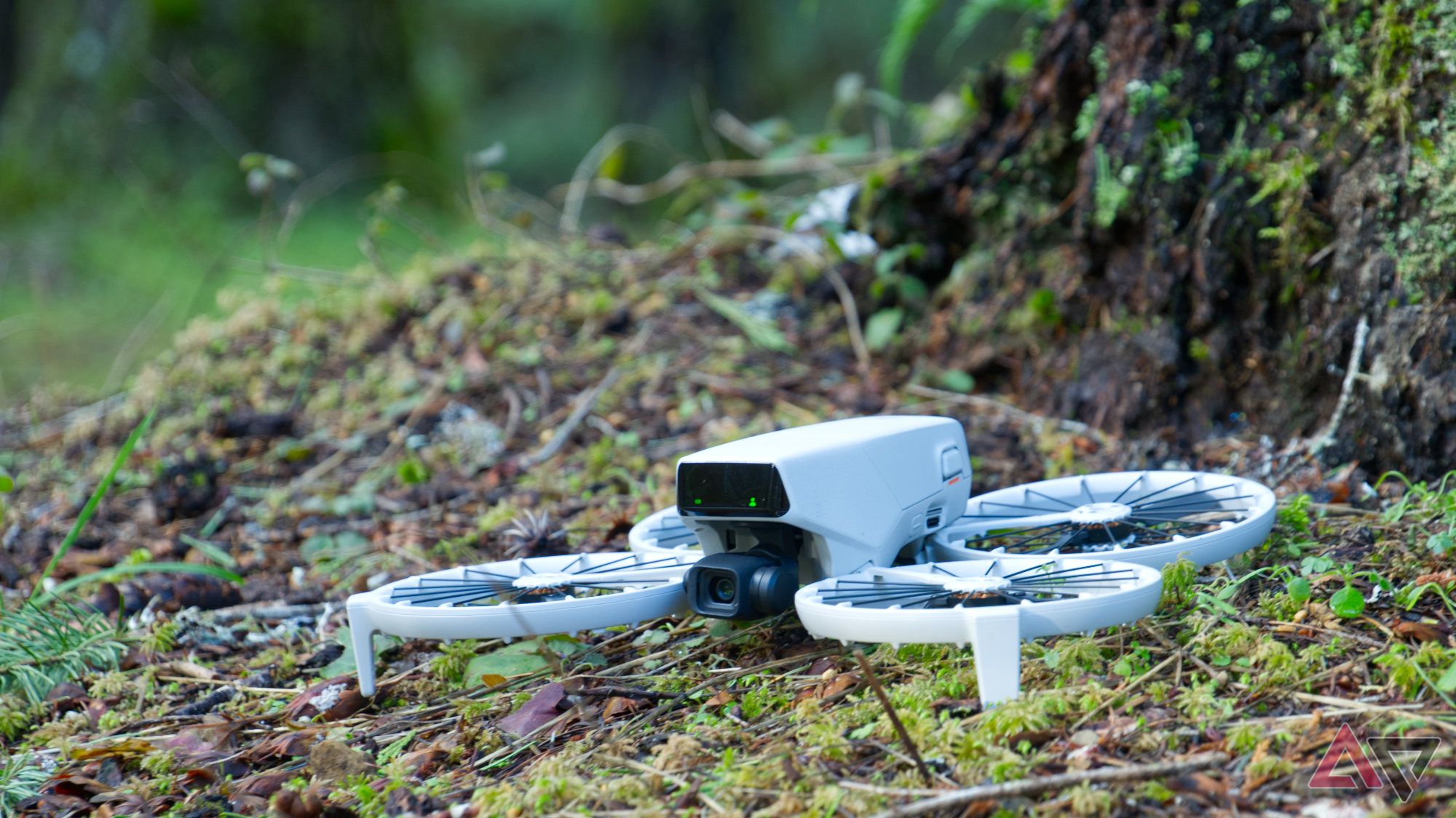 Review: The DJI Flip is an unrivaled starter drone