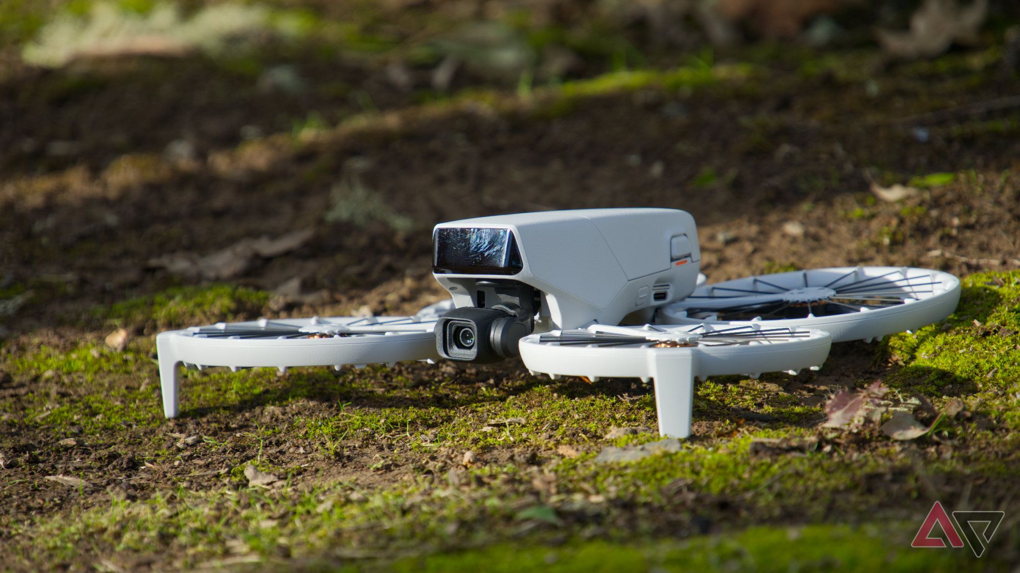 DJI Flip on mossy ground