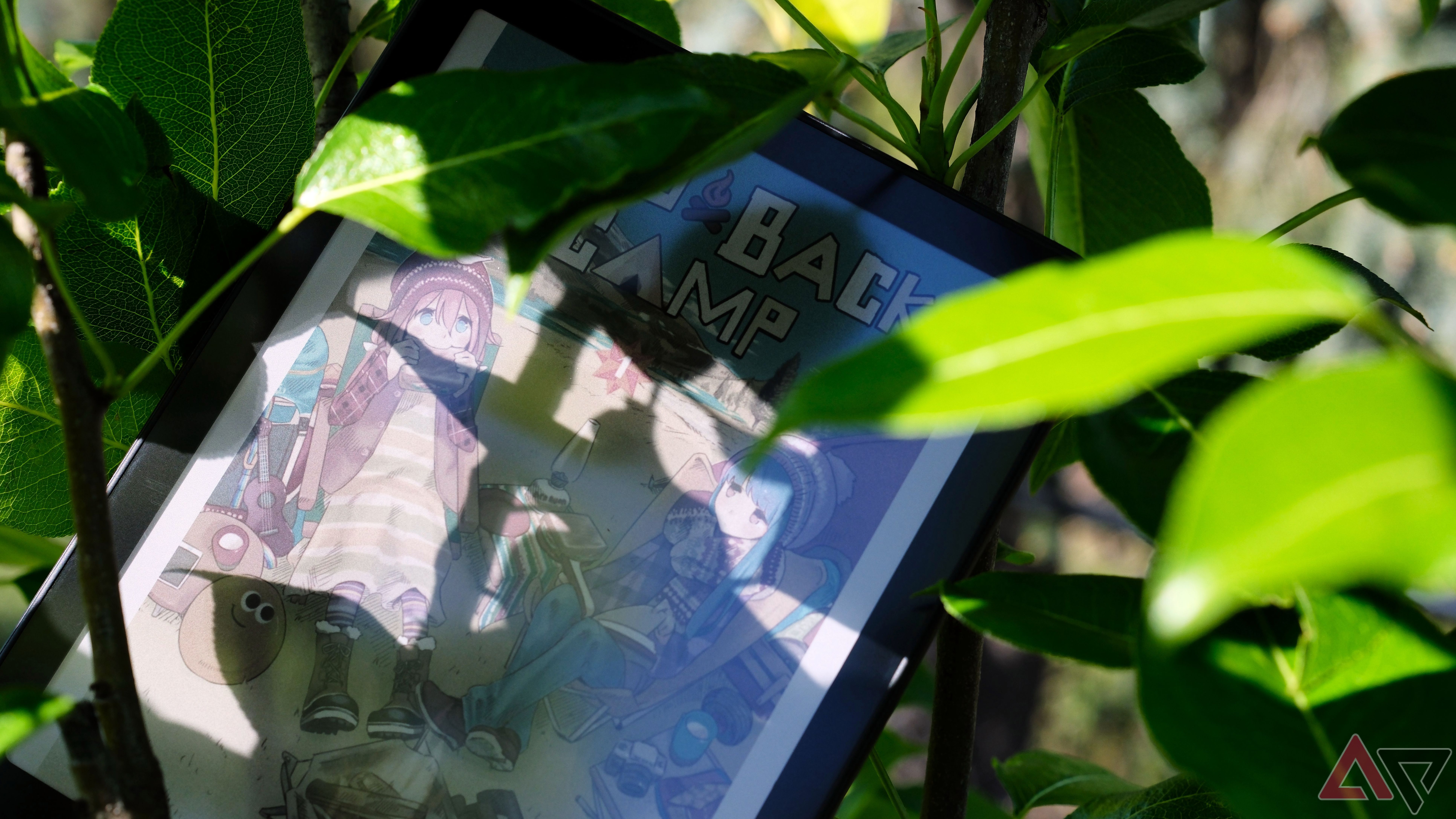 Kindle Colorsoft sitting in pear tree