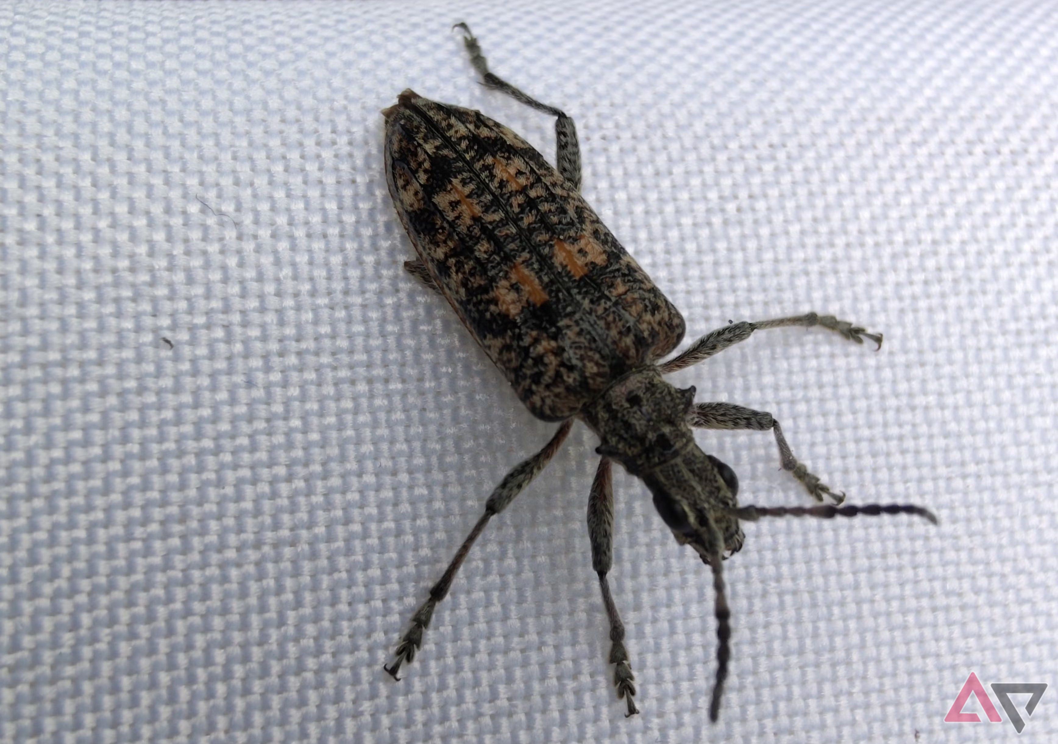 تصویری از یک اشکال روی پارچه سفید و بافته.