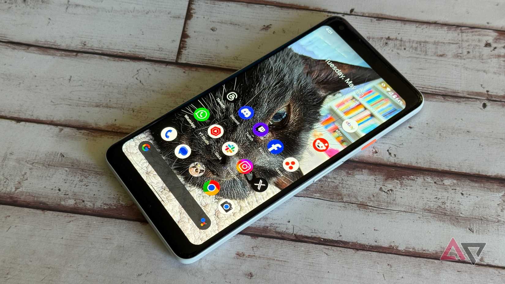 Google Pixel 2 XL with a black cat on the home screen