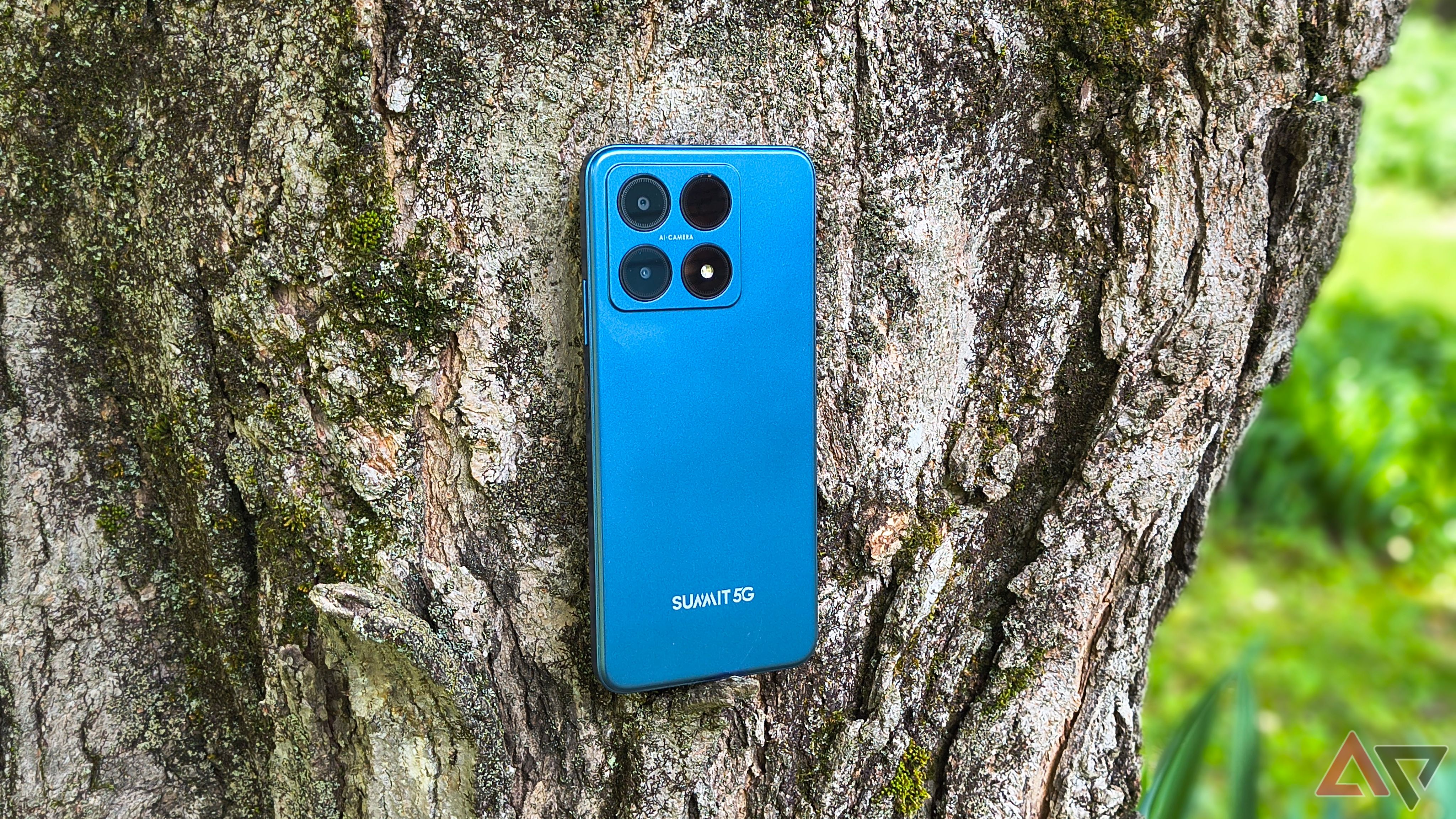 A Boost Summit 5G phone sitting on a tree