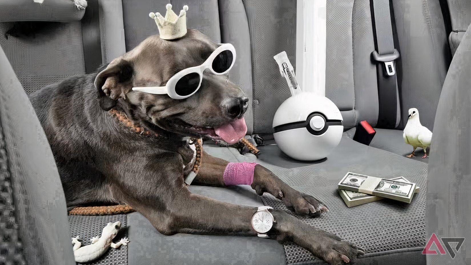 A dog in the backseat of a car with several AI-generated items surrounding it.
