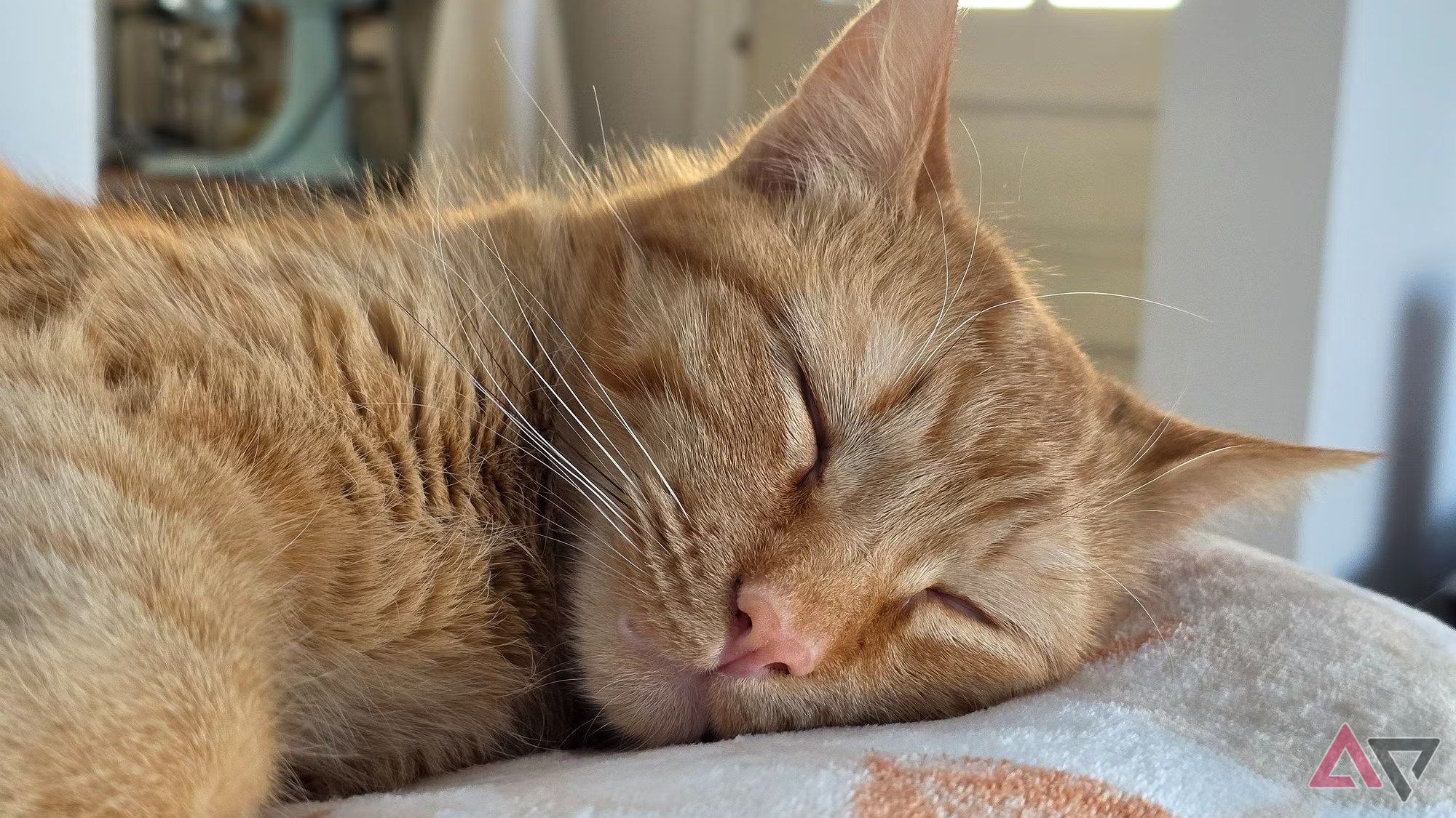 An orange cat sleeping on furniture.