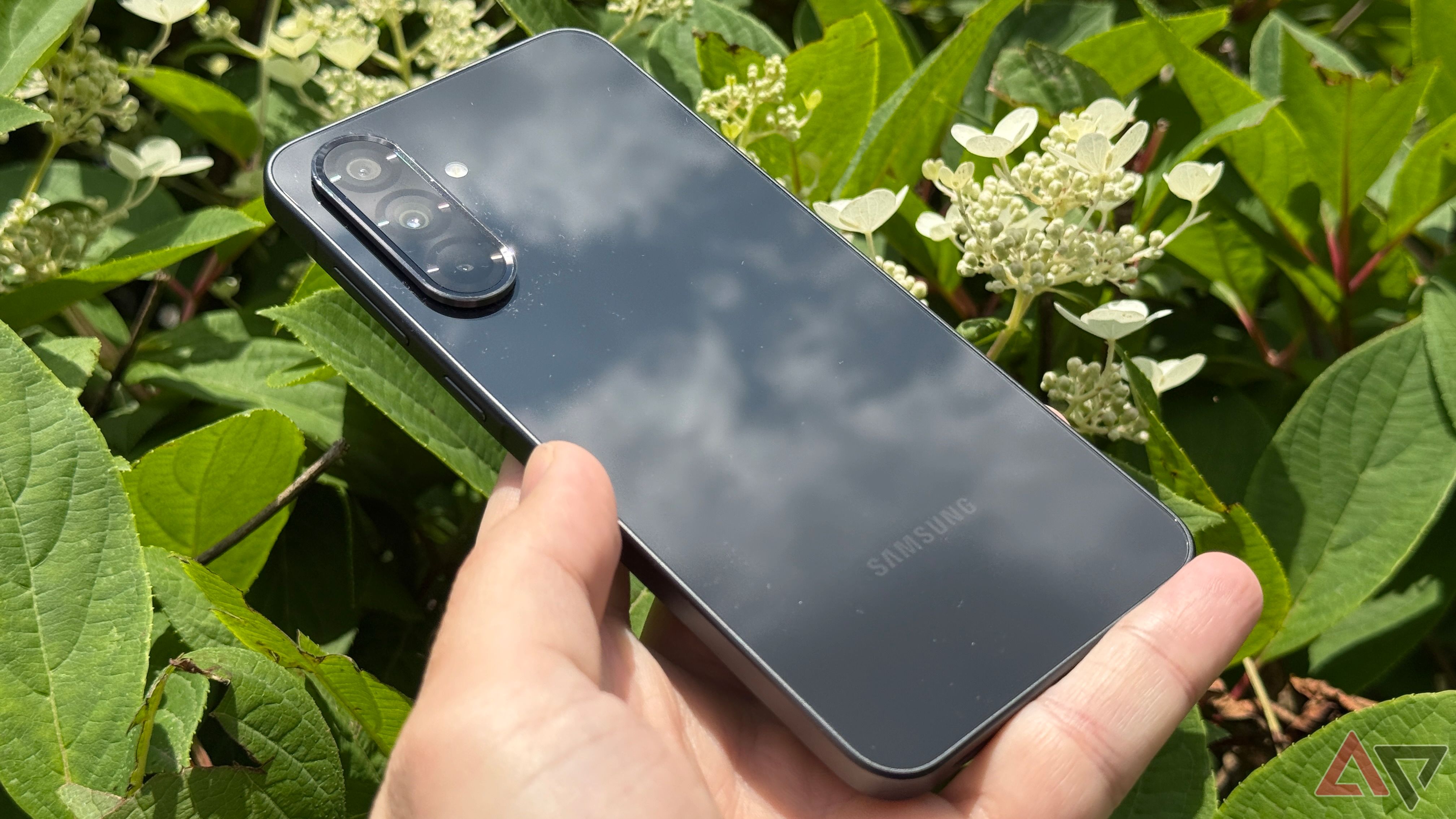 Samsung Galaxy A36 with sunlight reflected off its back
