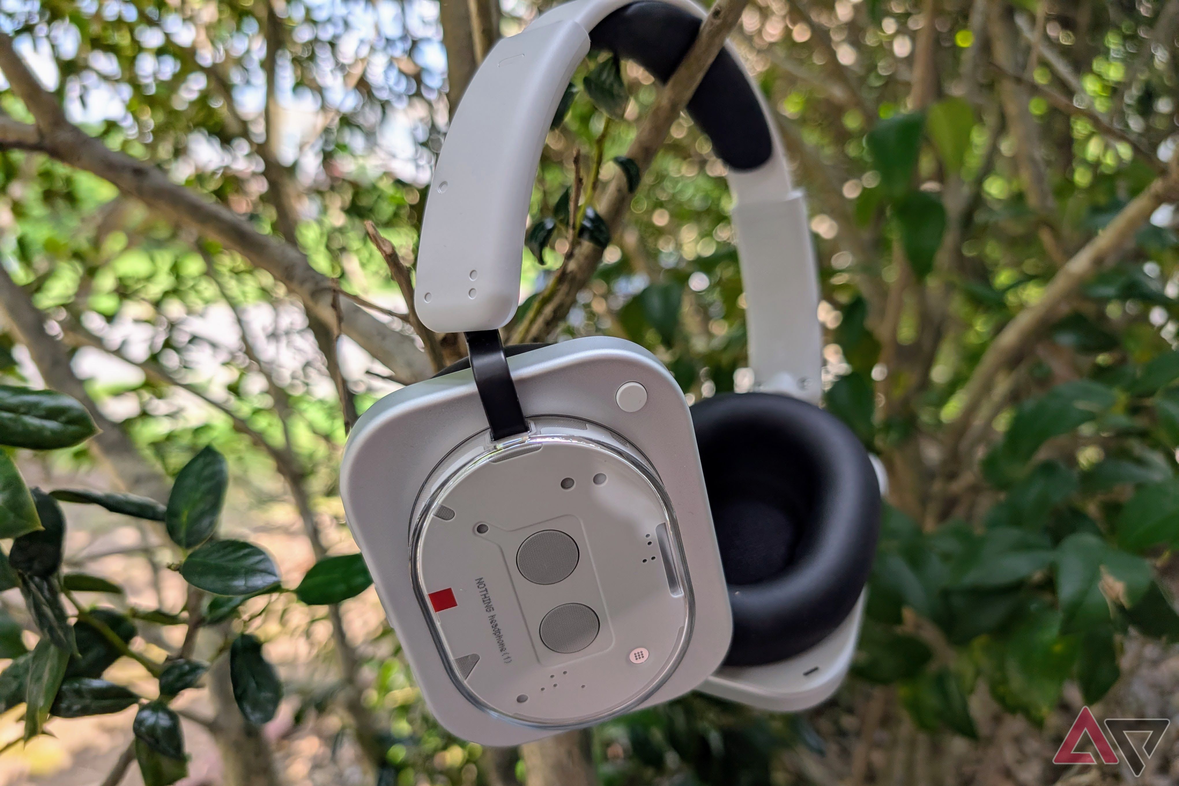 Nothing Headphones (1) in a tree