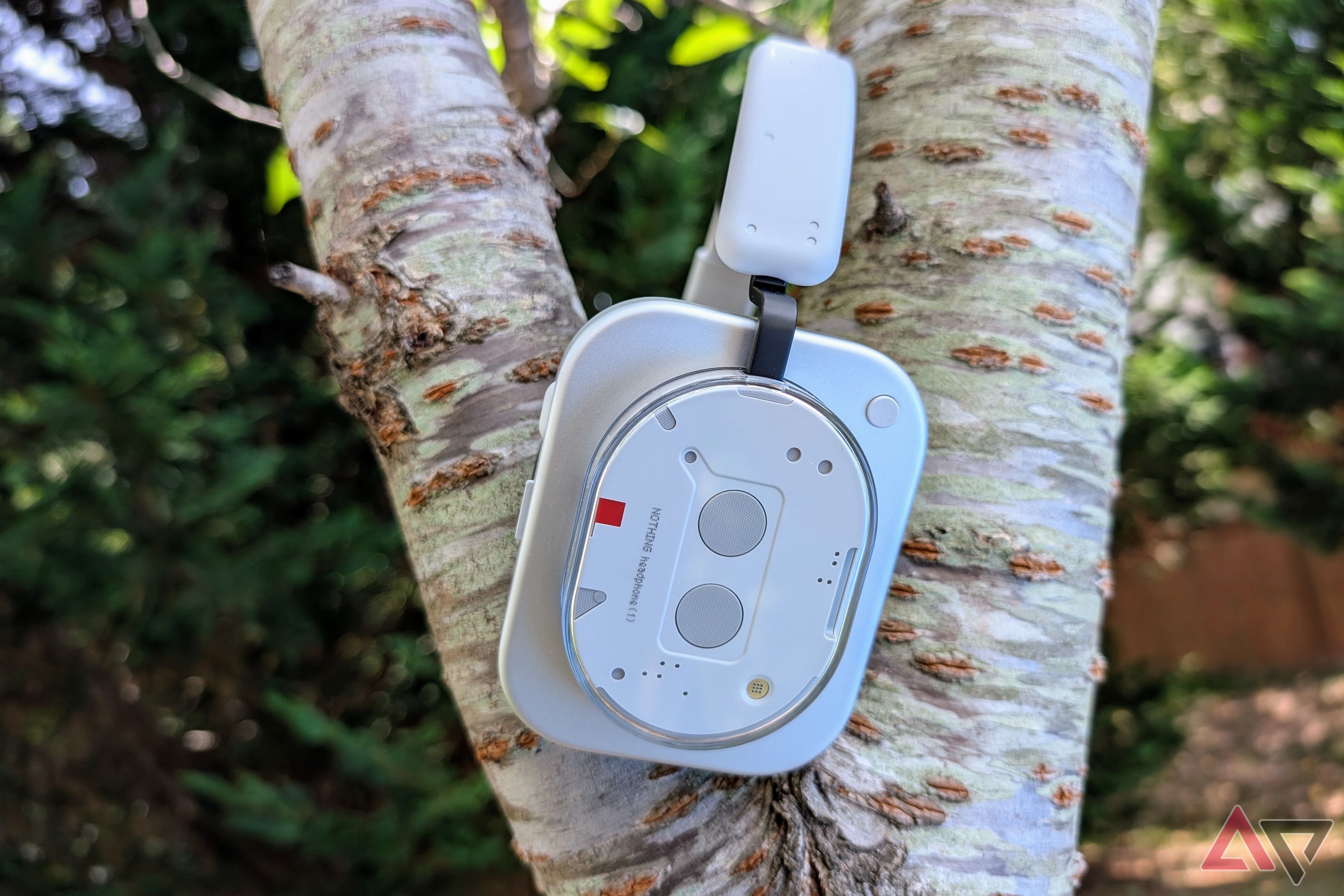 Nothing Headphones (1) sideways in a tree showing right ear cup