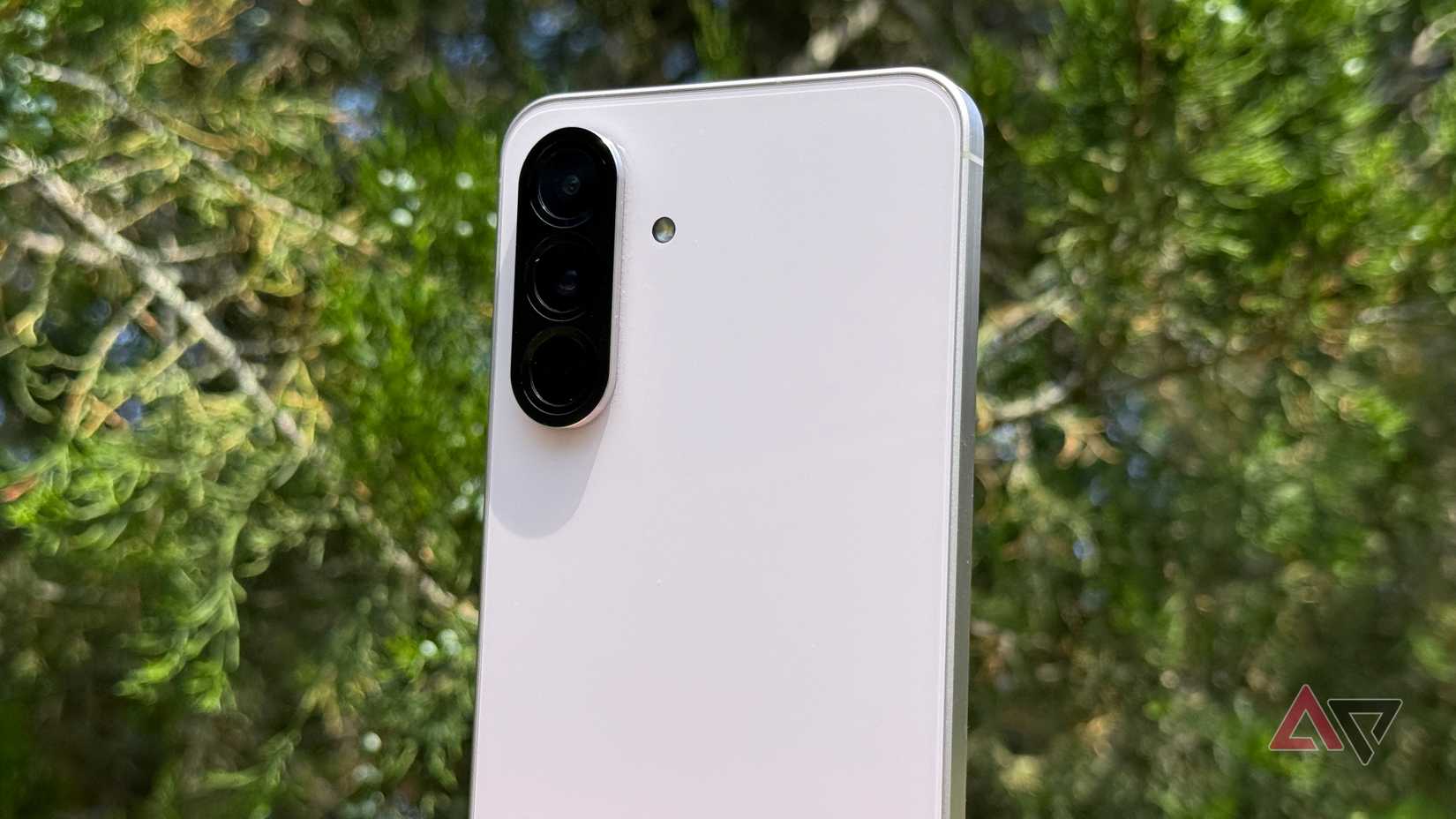 Samsung Galaxy A56 sitting against an evergreen tree