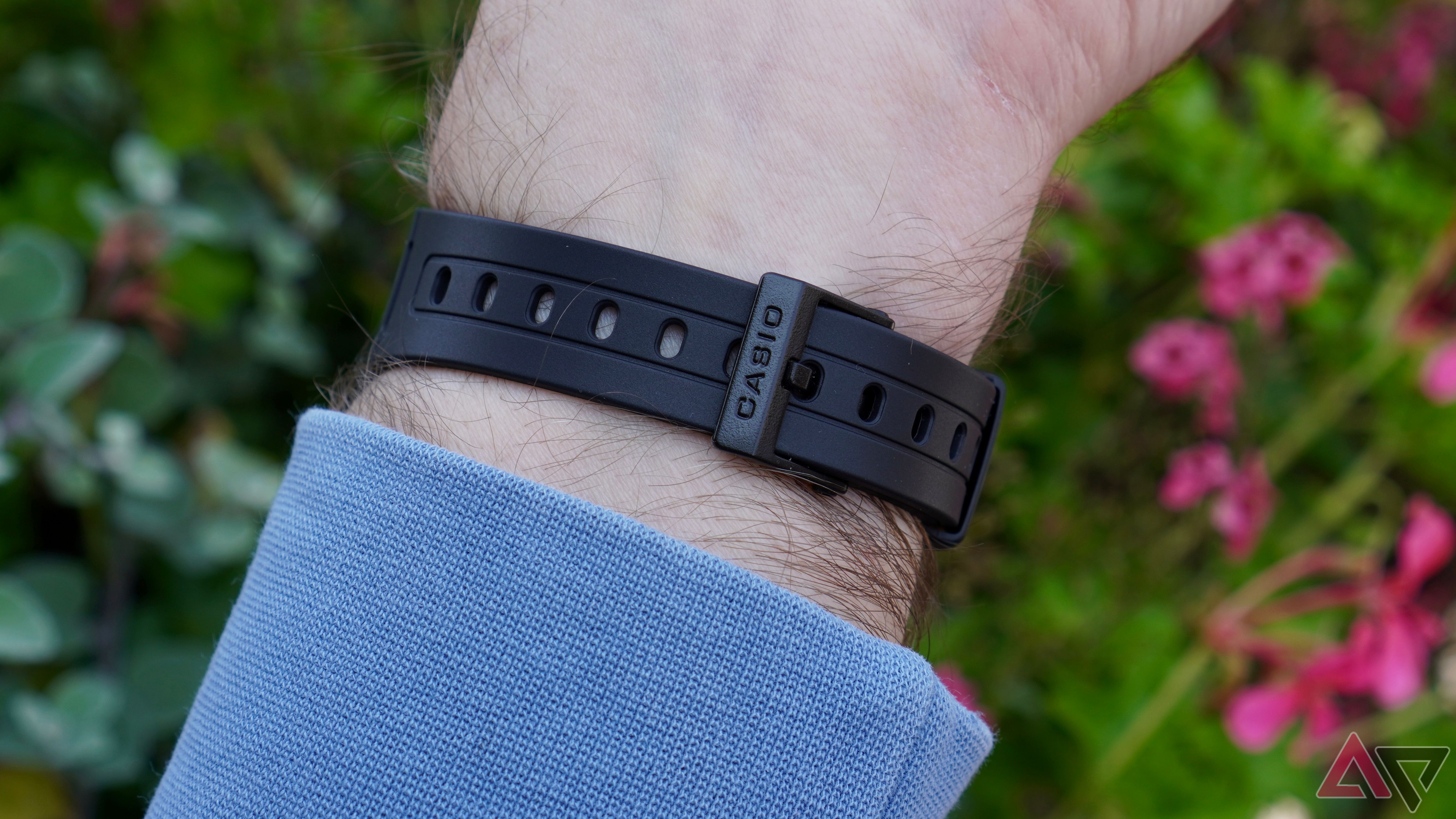 O cinto fino e a fivela do Casio F91W
