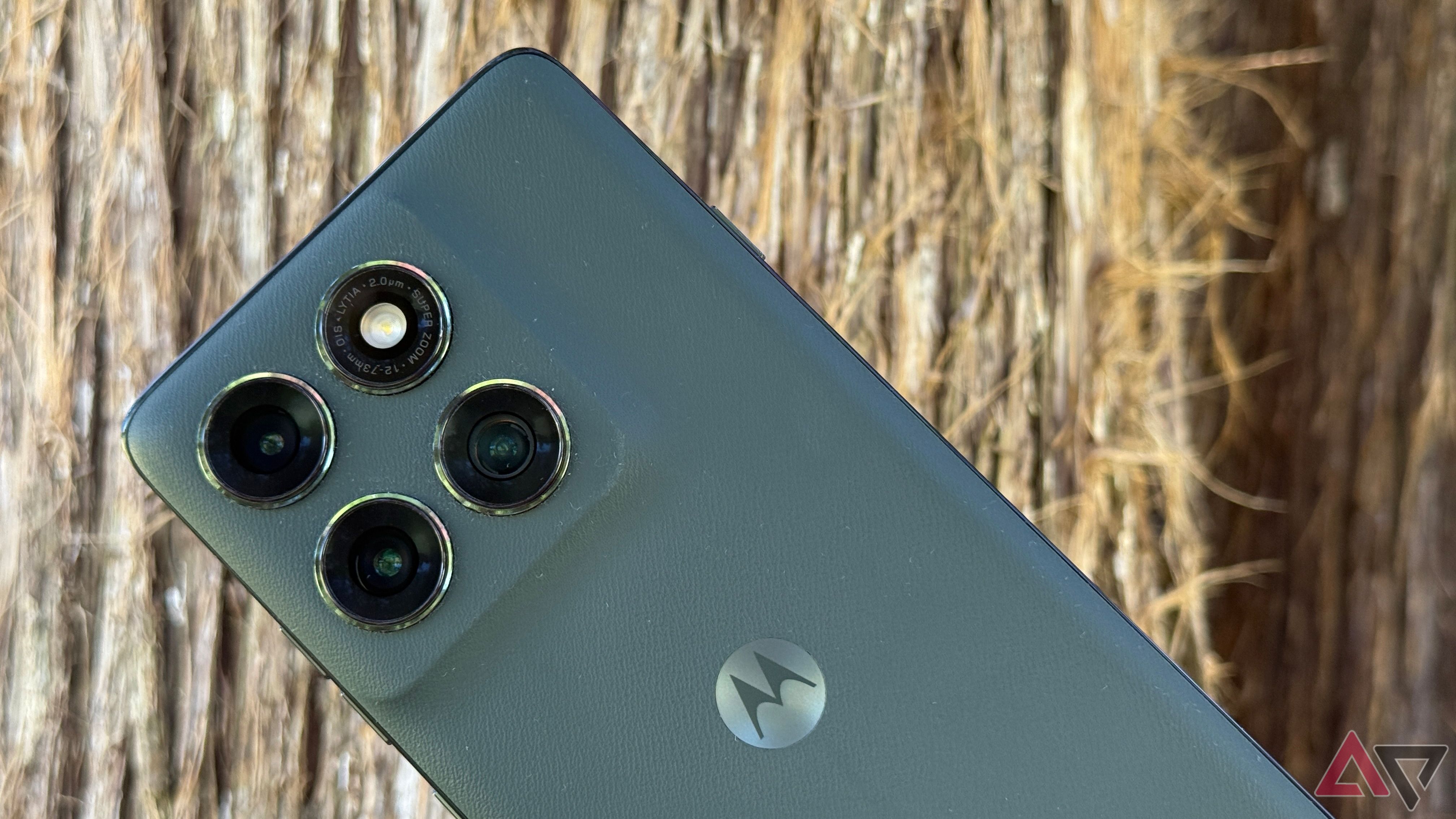 Motorola Edge 2025 mantida contra uma árvore marrom