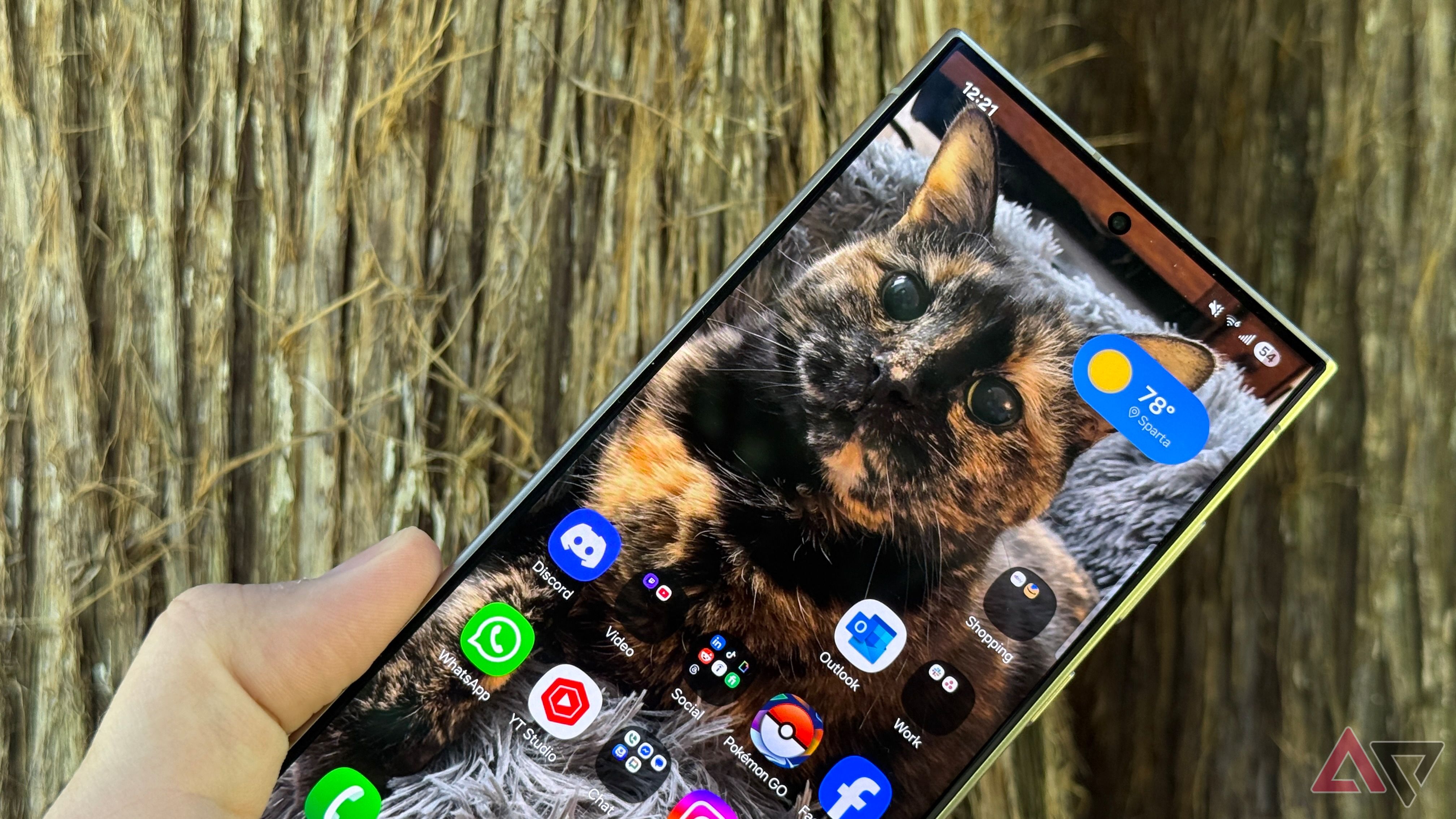 Cintia cossio onlyfa s 1K subscribers in the