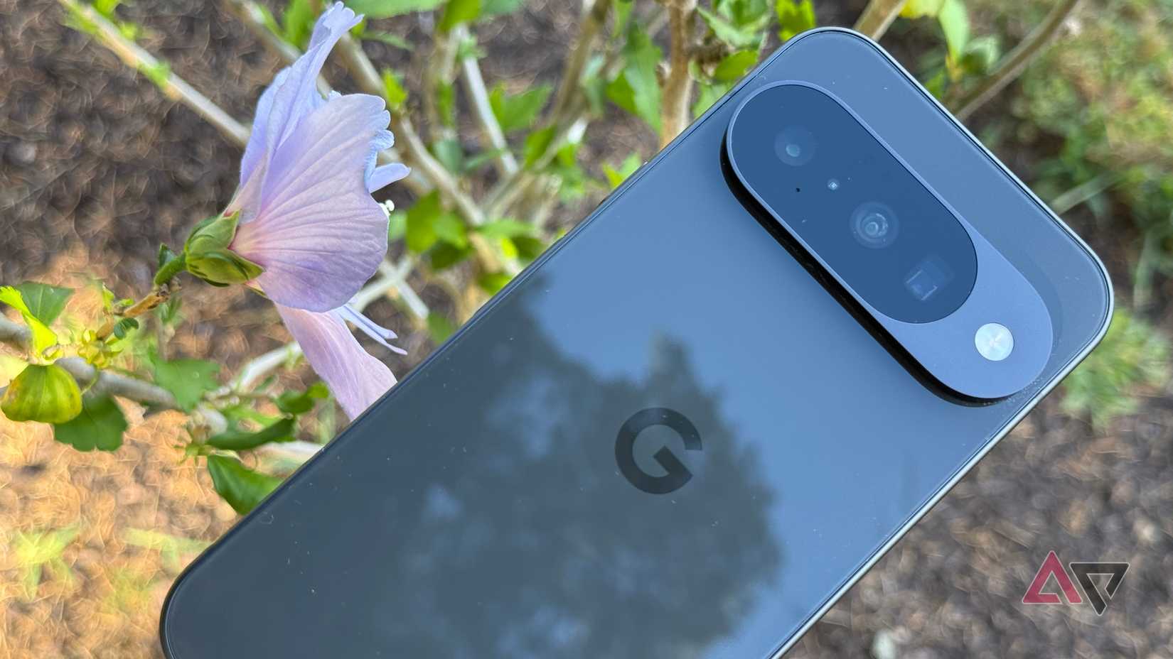 Google Pixel 10 held up against a purple flower