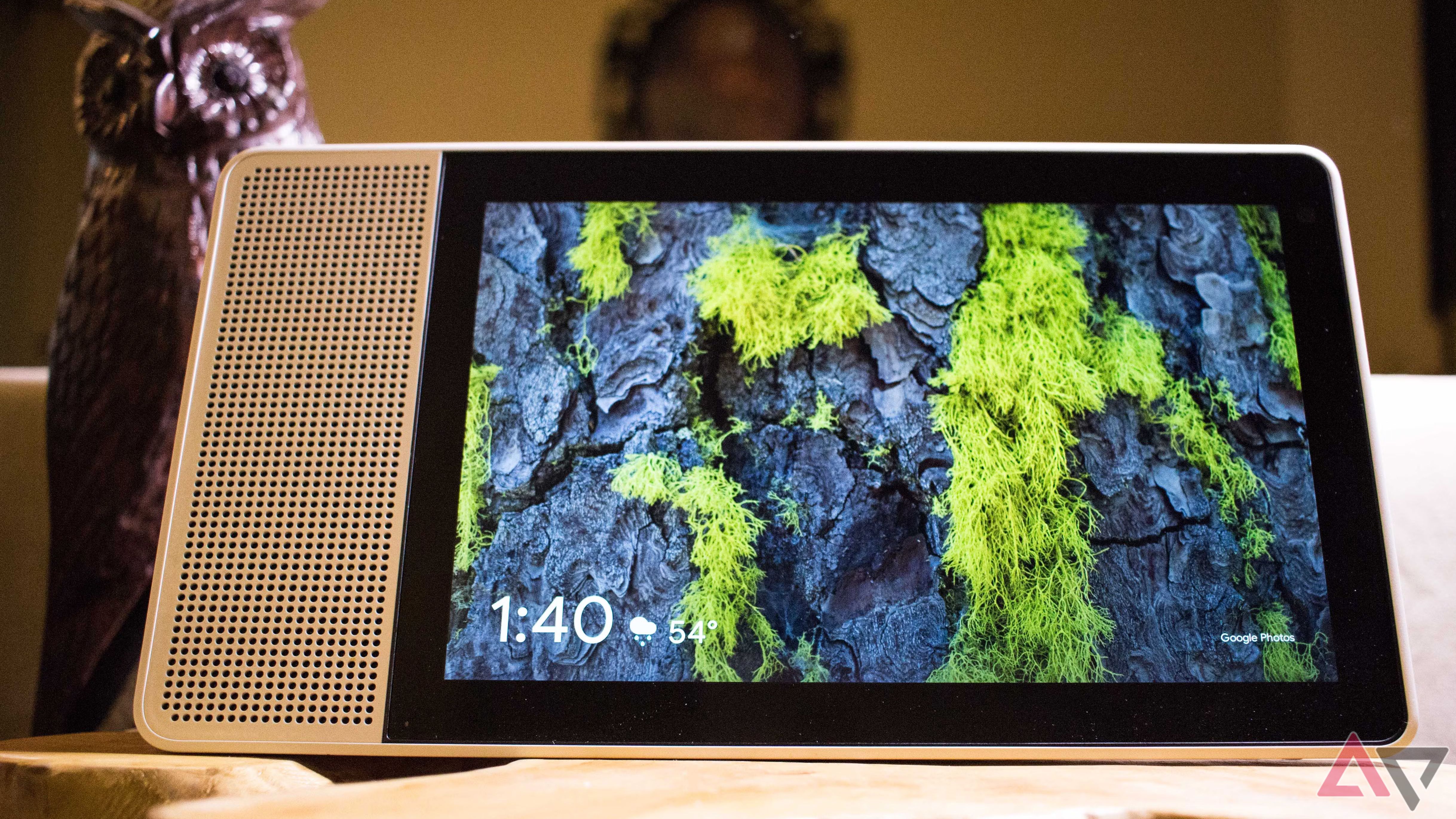 Smart display showing weather and time with a bark and moss wallpaper